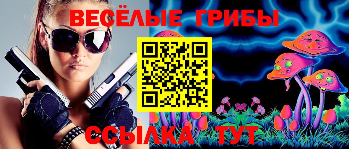 Галлюциногенные грибы GOLDEN TEACHER  Вход с VPN  купить  цена  Нарткала 