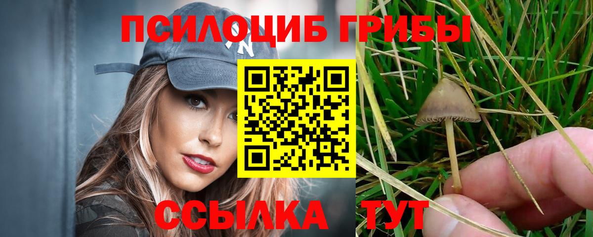 Псилоцибиновые грибы мицелий Нарткала